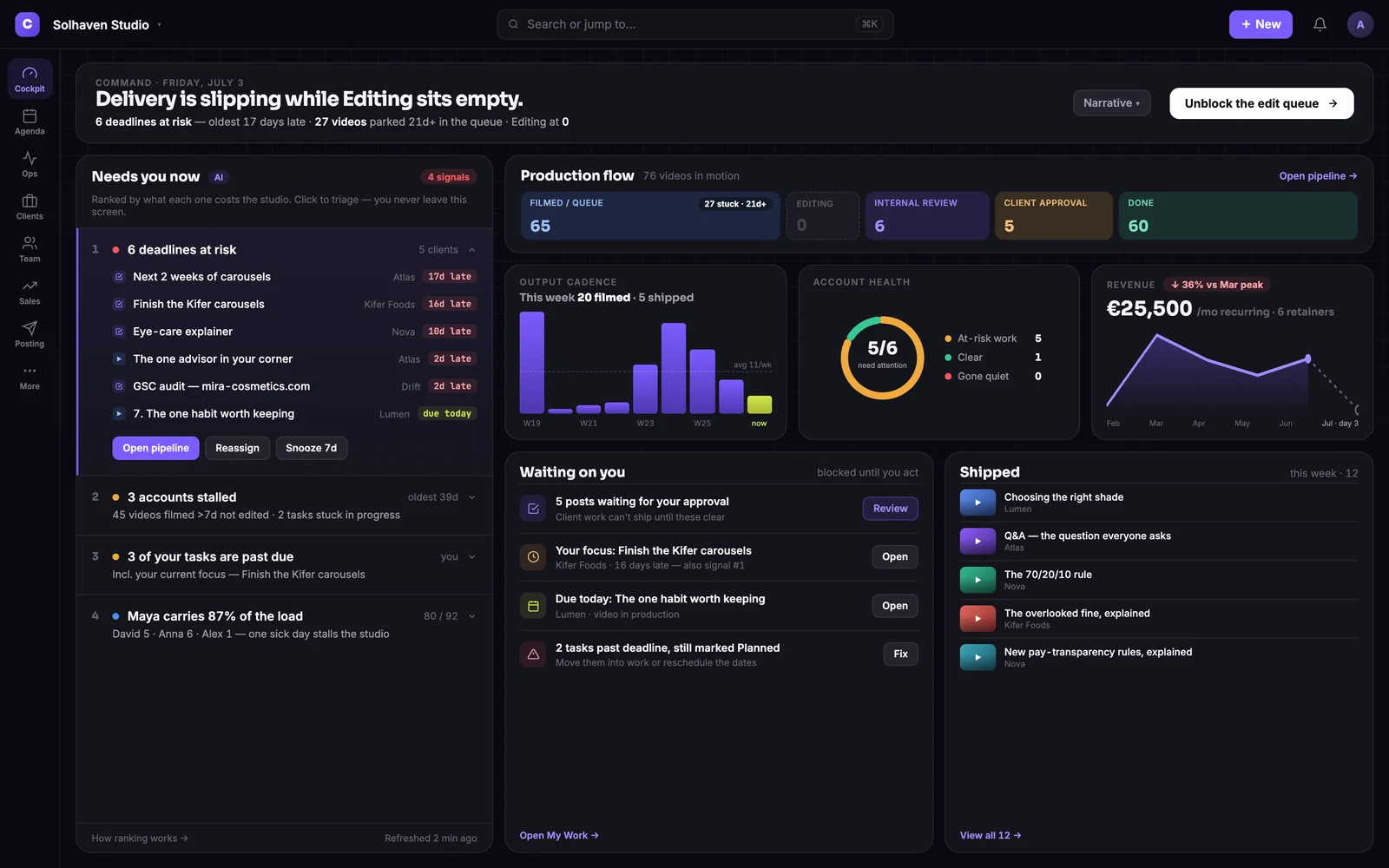 Cadenus product screenshot: Owner cockpit — KPIs, risk radar, insights